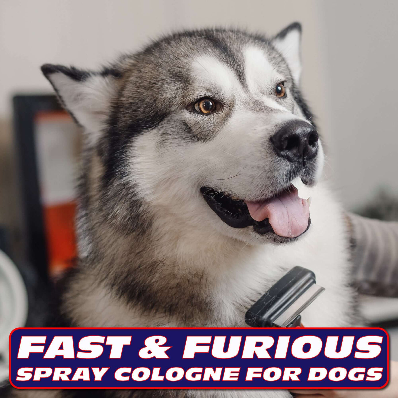 Fast & Furious Spray Cologne for Dogs