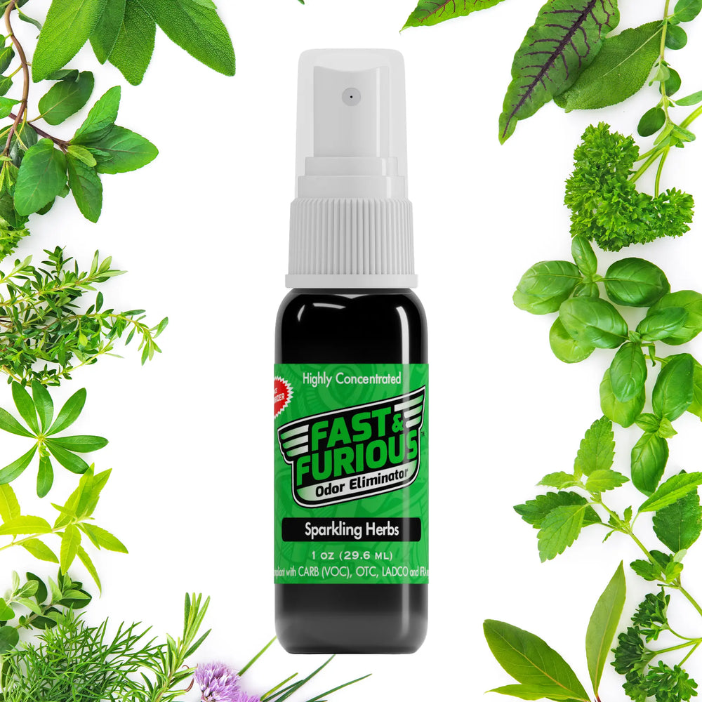 Fast and Furious Odor Eliminator - Sparkling Herbs Scent Size: 1 fl oz Creative